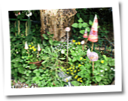 garten-feldstrasse-tulpenbaum-020.png